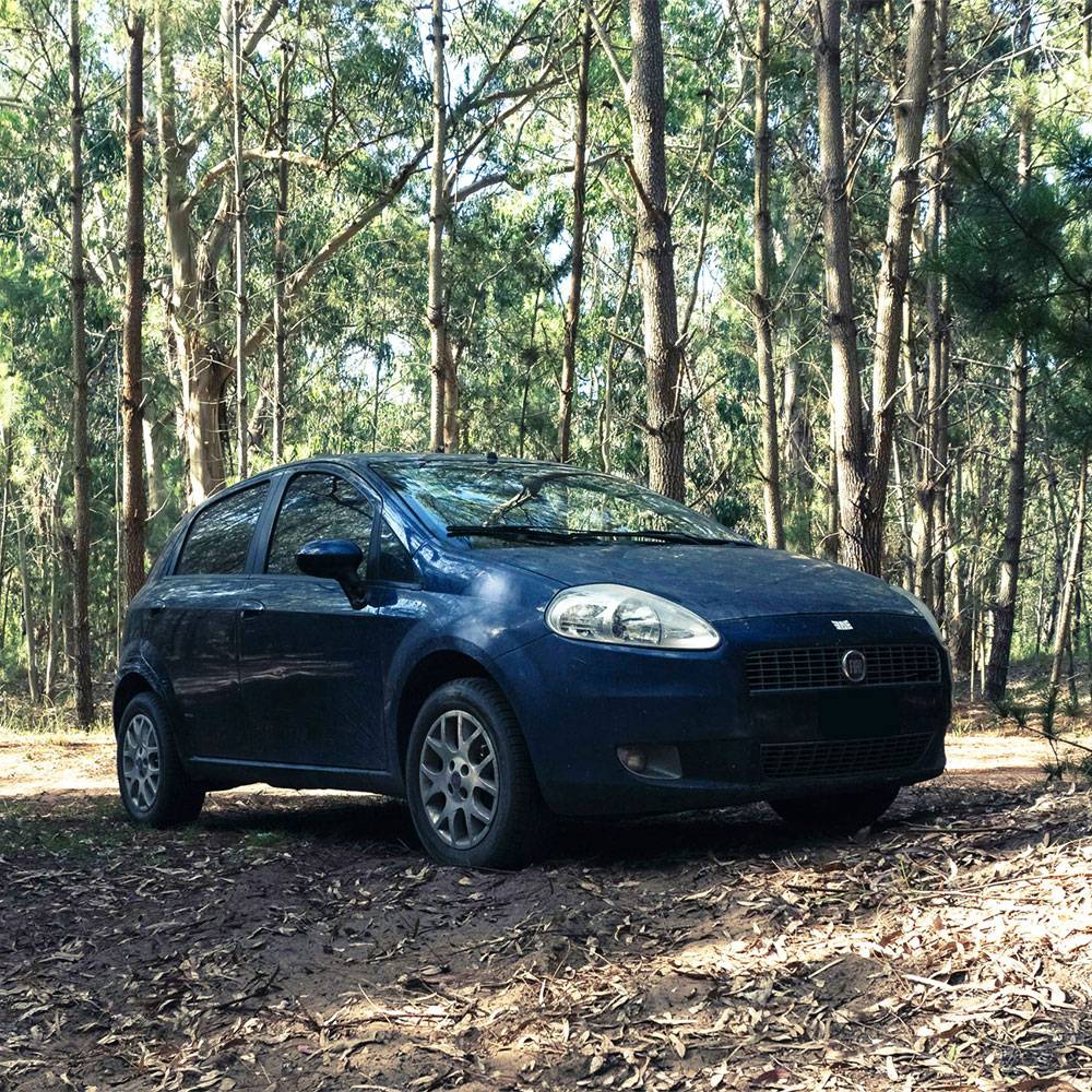 Fiat Repair and Service in Cleveland, TX