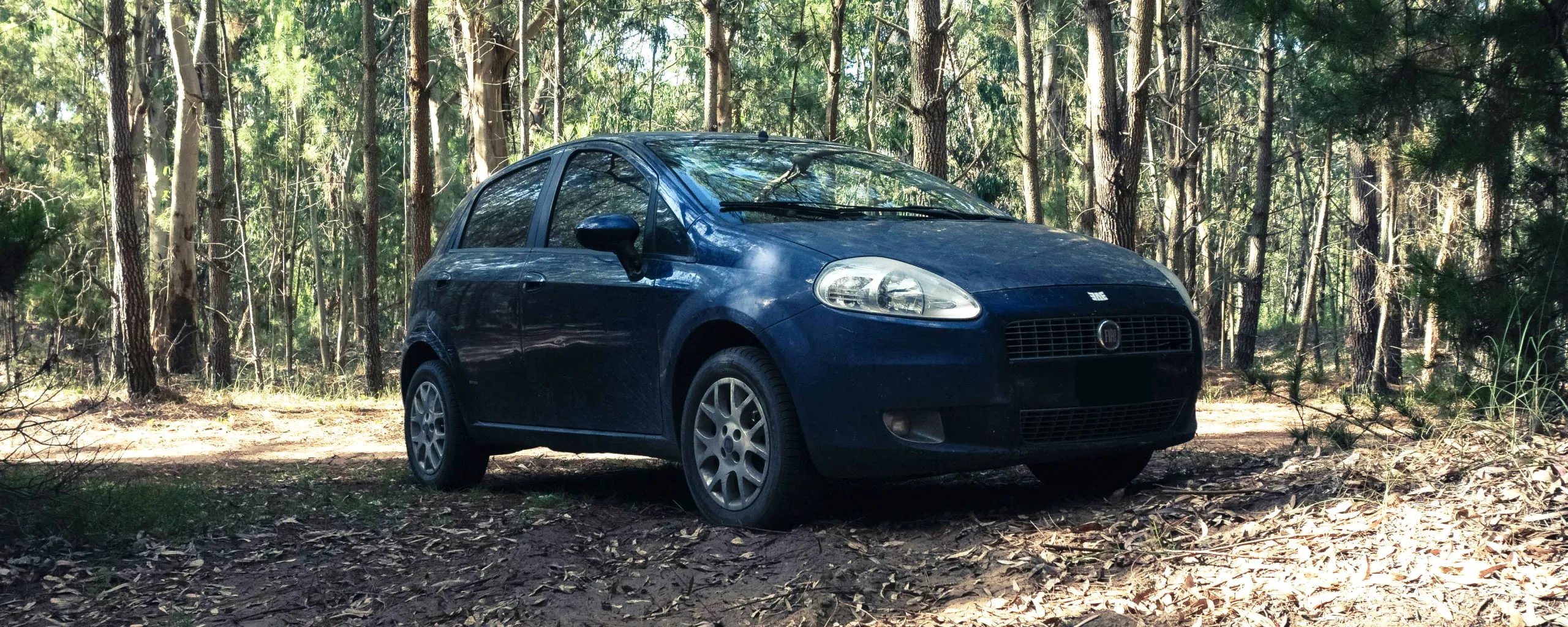 Fiat Repair and Service near Cleveland, TX